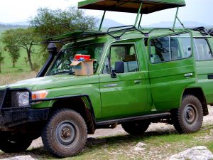 land-cruiser-for-hire-in-uganda