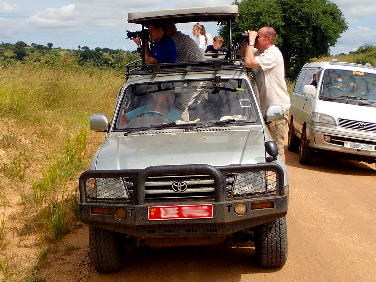 car-rentals-for-group-tours