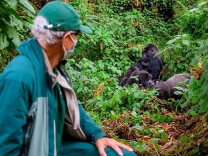 gorilla-trekking-with-cheap-car-rental-uganda - Why you should visit Uganda? Reasons to Visit Uganda 2025/2026