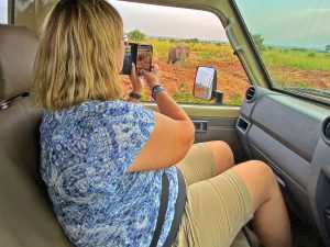 5-days-uganda-primates-wildlife-safari-with-cheap-car-rental-Uganda