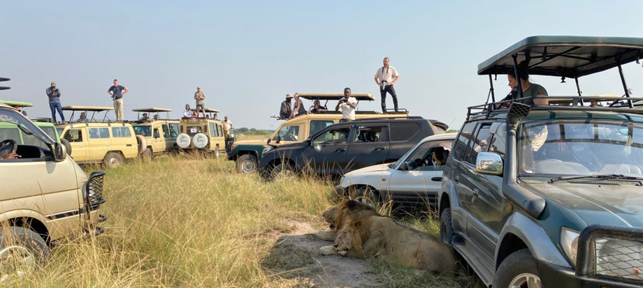 car-rental-uganda-for-wildlife-safaris-in-uganda - How to hire a car in Uganda for Self drive or with a Driver