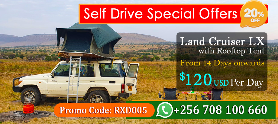 4x4-self-drive-car-rental-uganda-offer-discount-on-toyota-land-cruiser-lx-hardtop-with-rooftop-tent-hire-kampala