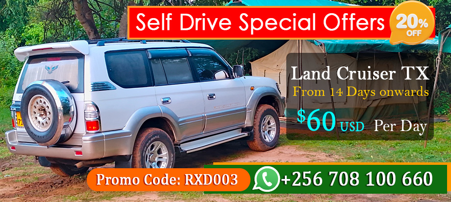 4x4-self-drive-car-rental-uganda-offer-discount-on-toyota-land-cruiser-tx-hire-kampala