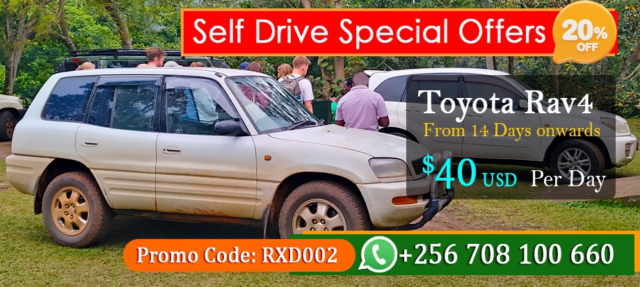 4x4-self-drive-car-rental-uganda-offer-discount-on-toyota-rav4-hire-kampala