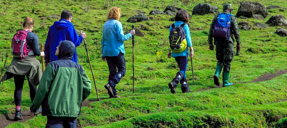 rwanda-gorilla-trekking-virunga-mountains-safari