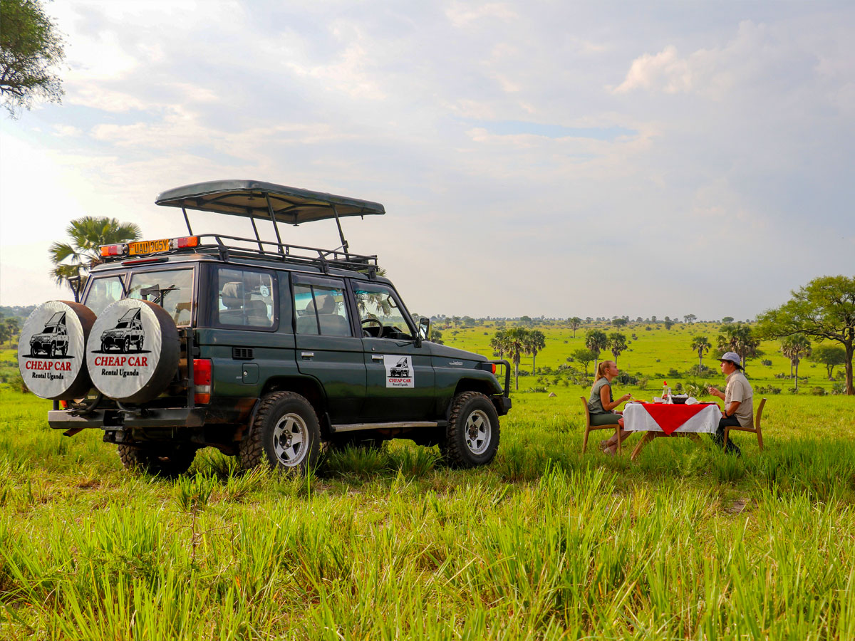 10-days-best-of-uganda-wildlife-safari