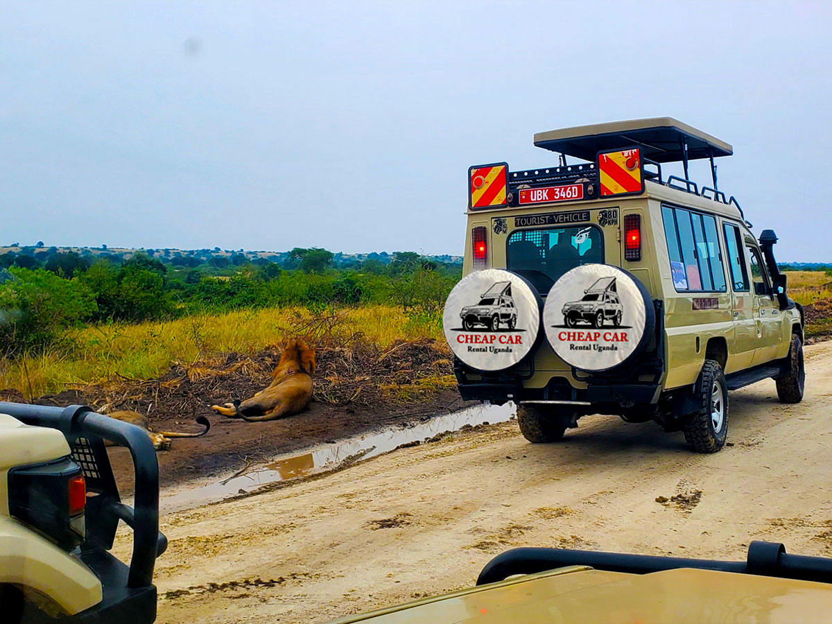 5-days-gorilla-trekking-wildlife-safari