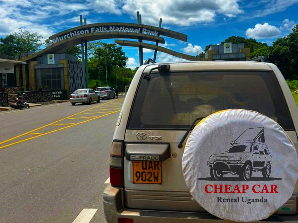 best-time-to-travel-uganda-on-a-self-drive-trip